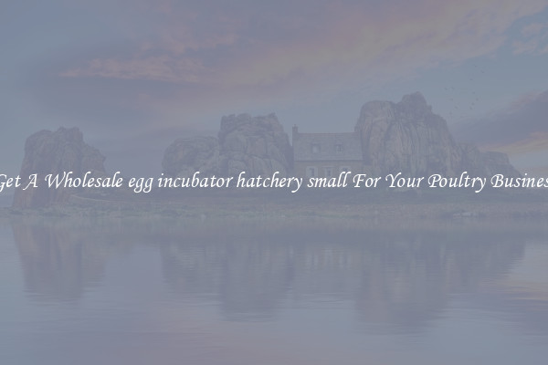 Get A Wholesale egg incubator hatchery small For Your Poultry Business