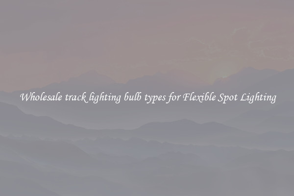 Wholesale track lighting bulb types for Flexible Spot Lighting