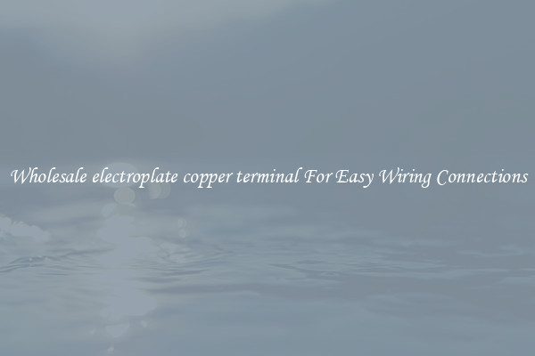 Wholesale electroplate copper terminal For Easy Wiring Connections