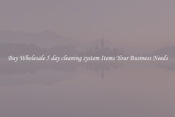 Buy Wholesale 5 day cleaning system Items Your Business Needs