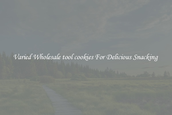 Varied Wholesale tool cookies For Delicious Snacking 