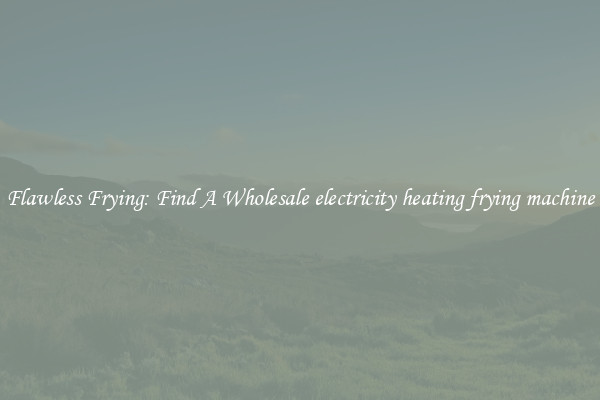 Flawless Frying: Find A Wholesale electricity heating frying machine