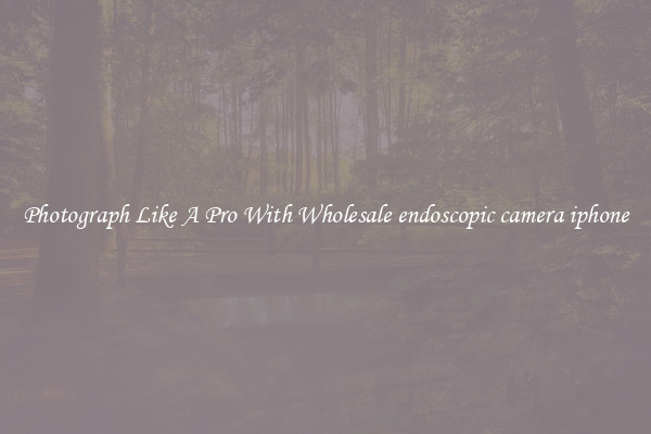 Photograph Like A Pro With Wholesale endoscopic camera iphone