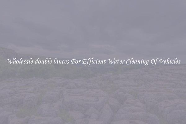 Wholesale double lances For Efficient Water Cleaning Of Vehicles