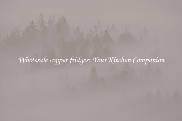 Wholesale copper fridges: Your Kitchen Companion