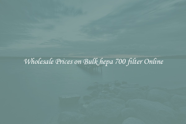 Wholesale Prices on Bulk hepa 700 filter Online