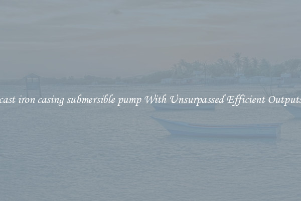 cast iron casing submersible pump With Unsurpassed Efficient Outputs