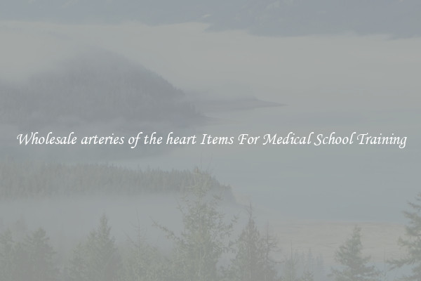 Wholesale arteries of the heart Items For Medical School Training