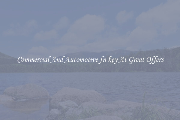 Commercial And Automotive fn key At Great Offers