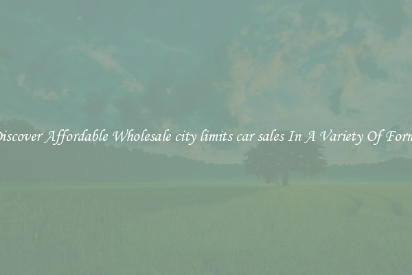Discover Affordable Wholesale city limits car sales In A Variety Of Forms