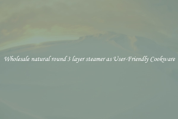 Wholesale natural round 3 layer steamer as User-Friendly Cookware