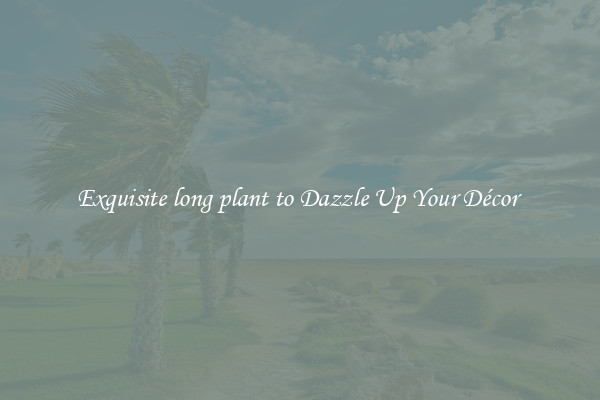 Exquisite long plant to Dazzle Up Your Décor 