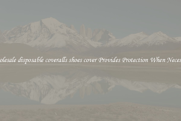 Wholesale disposable coveralls shoes cover Provides Protection When Necessary