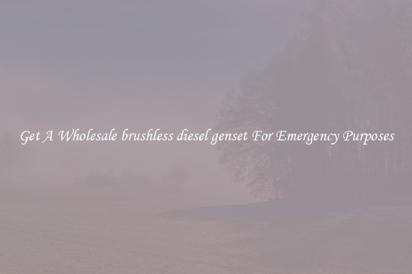 Get A Wholesale brushless diesel genset For Emergency Purposes