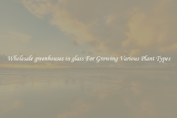 Wholesale greenhouses in glass For Growing Various Plant Types