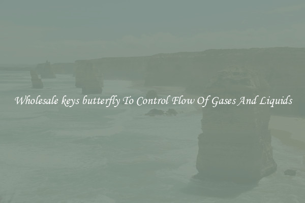 Wholesale keys butterfly To Control Flow Of Gases And Liquids