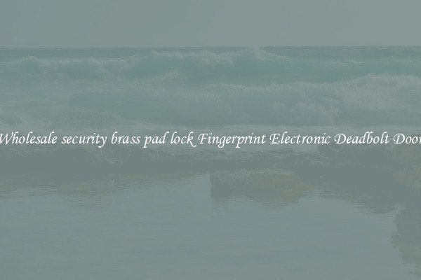 Wholesale security brass pad lock Fingerprint Electronic Deadbolt Door 
