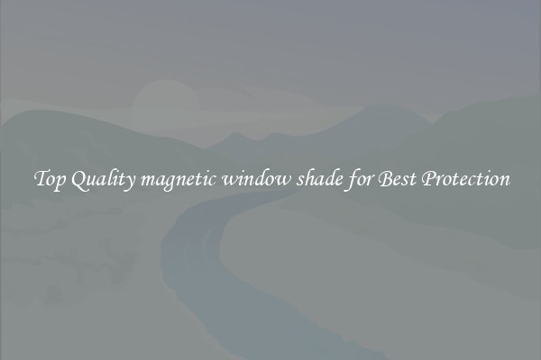 Top Quality magnetic window shade for Best Protection