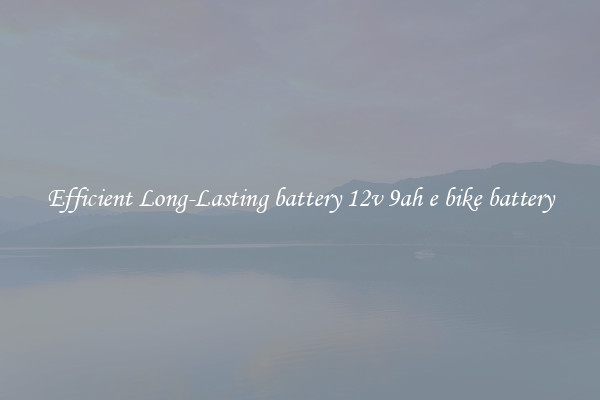 Efficient Long-Lasting battery 12v 9ah e bike battery