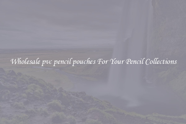 Wholesale pvc pencil pouches For Your Pencil Collections