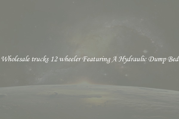 Wholesale trucks 12 wheeler Featuring A Hydraulic Dump Bed