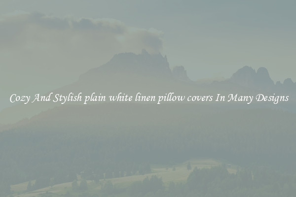 Cozy And Stylish plain white linen pillow covers In Many Designs